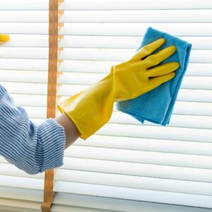 Best Disposable gloves for Cleaning